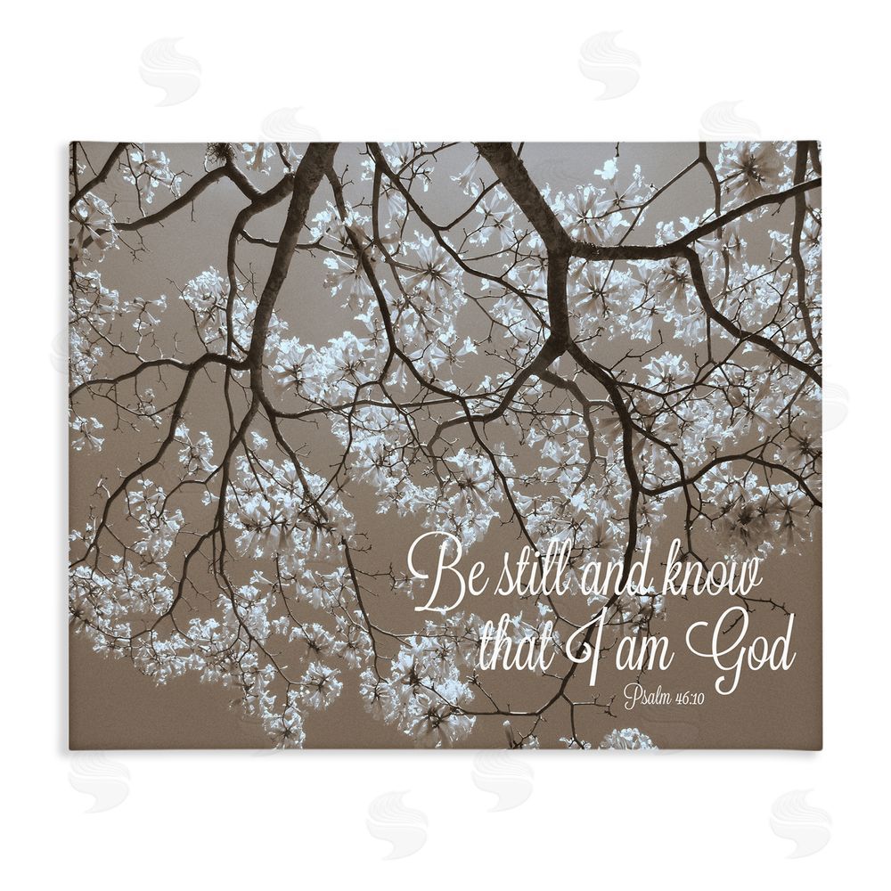 Sundance Graphics Be Still Apple Blossoms Canvas Wall Art Print