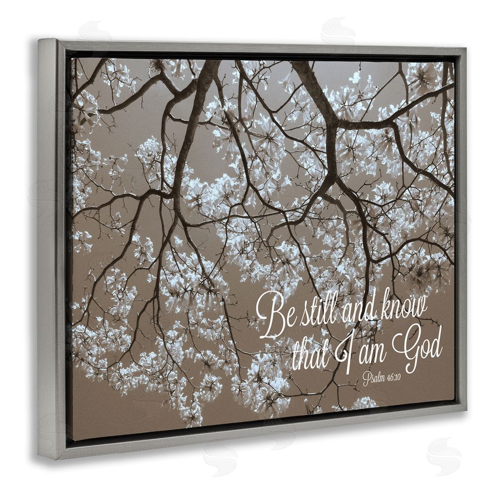 Sundance Graphics Be Still Apple Blossoms Gray Floating Frame Canvas Wall Art Print