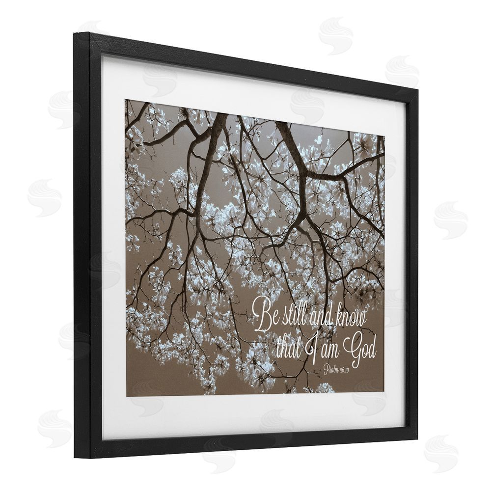 Sundance Graphics Be Still Apple Blossoms Black Framed Print Under Glass Wall Art