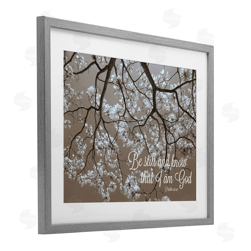 Sundance Graphics Be Still Apple Blossoms Gray Framed Print Under Glass Wall Art