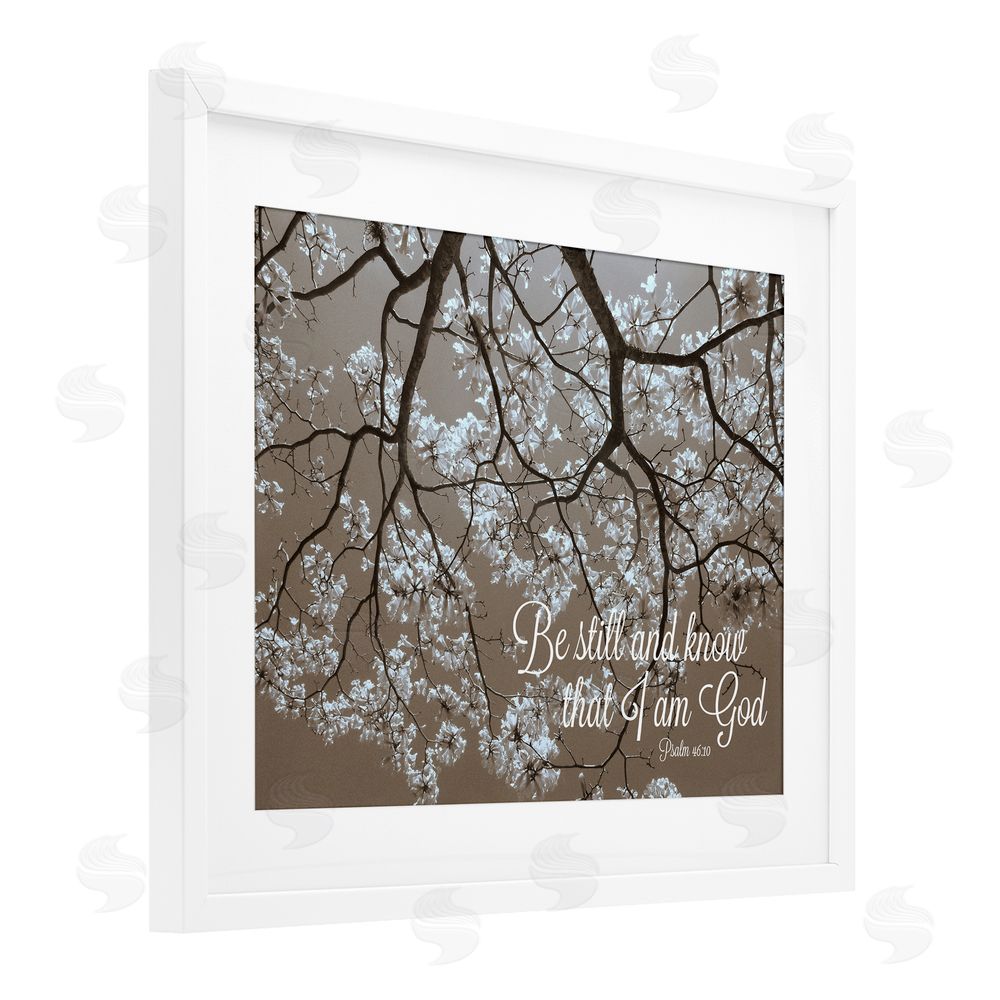 Sundance Graphics Be Still Apple Blossoms White Framed Print Under Glass Wall Art