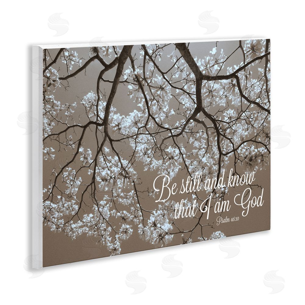 Sundance Graphics Be Still Apple Blossoms Wall Plaque Printed Art