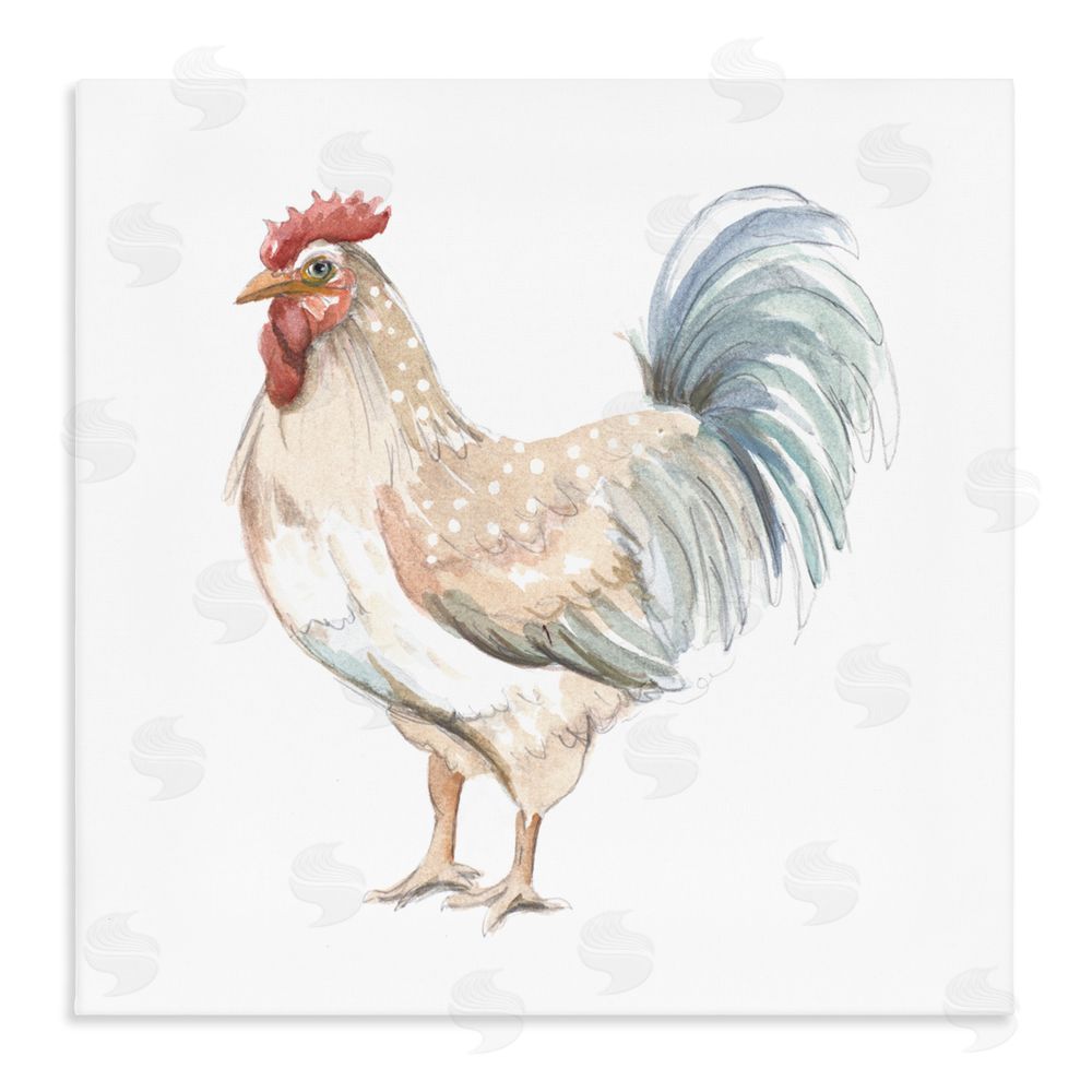 Sundance Graphics Watercolor Rooster Sketch Canvas Wall Art Print