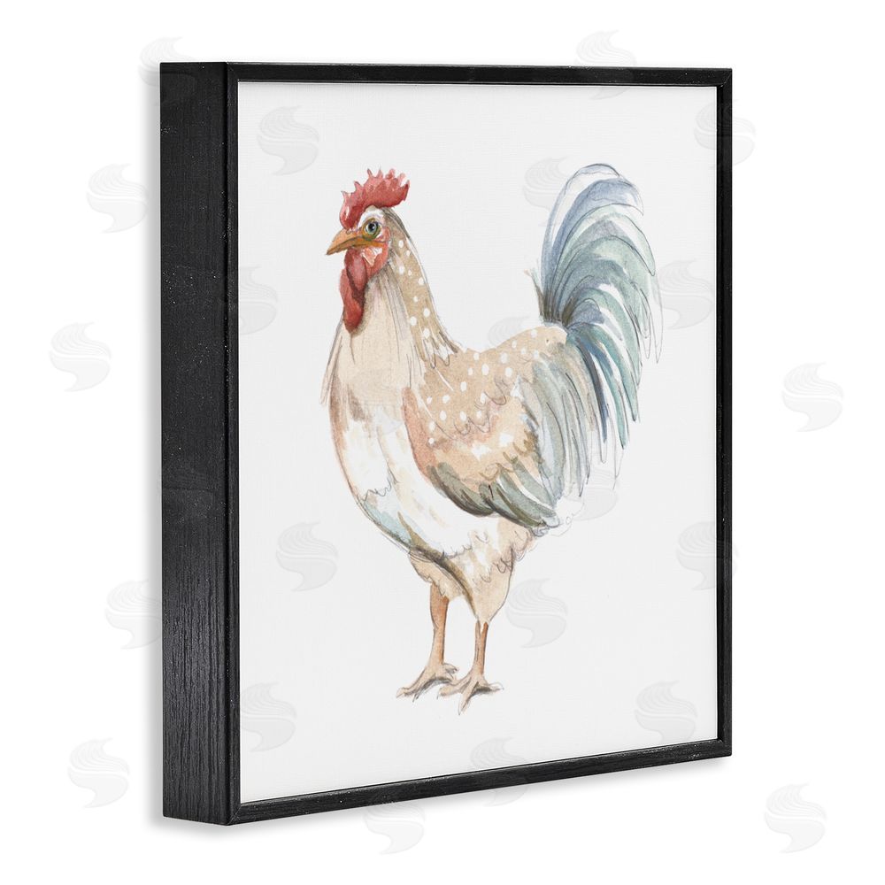 Sundance Graphics Watercolor Rooster Sketch Black Framed Giclee Wall Art Print