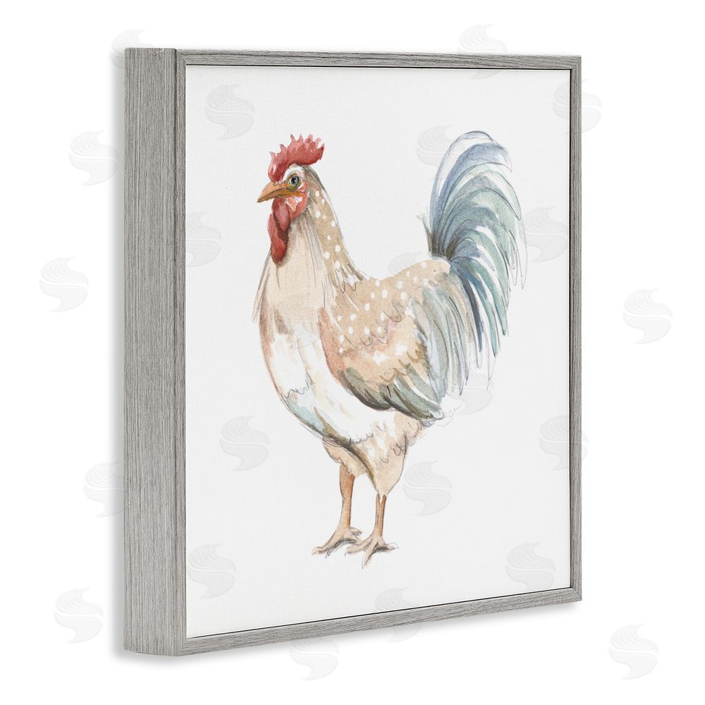 Sundance Graphics Watercolor Rooster Sketch Gray Framed Giclee Wall Art Print
