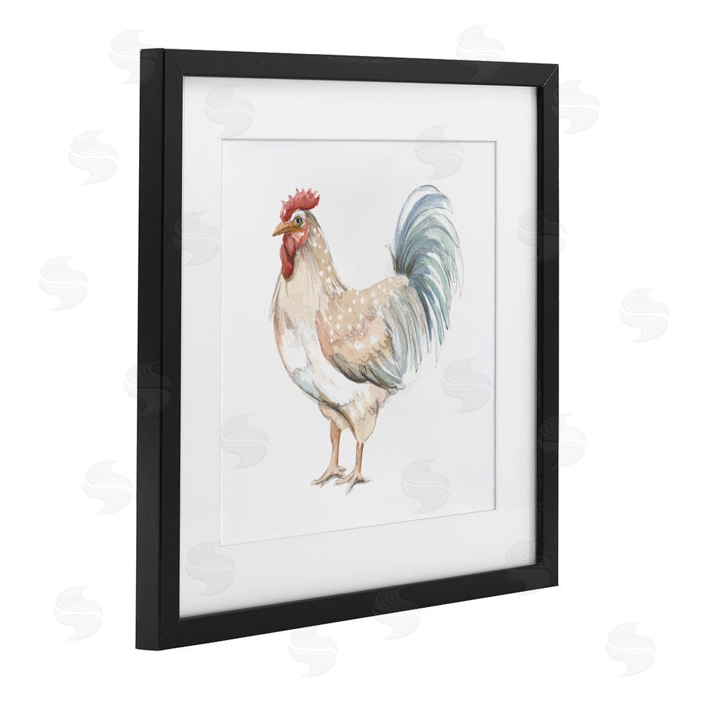 Sundance Graphics Watercolor Rooster Sketch Black Framed Print Under Glass Wall Art