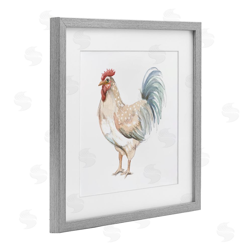 Sundance Graphics Watercolor Rooster Sketch Gray Framed Print Under Glass Wall Art