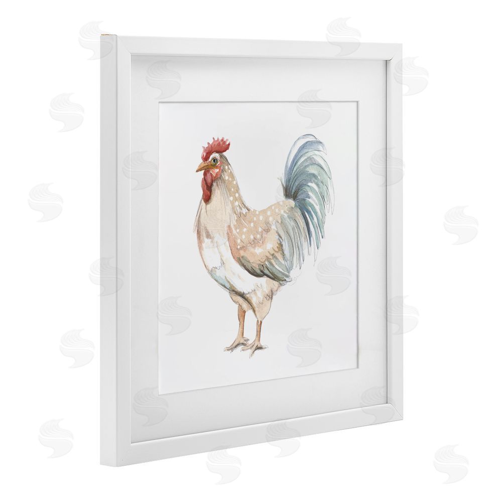 Sundance Graphics Watercolor Rooster Sketch White Framed Print Under Glass Wall Art
