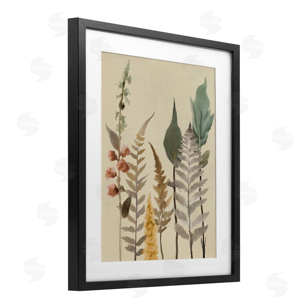 Sundance Graphics Fall Botanicals Forest Ferns Black Framed Print Under Glass Wall Art