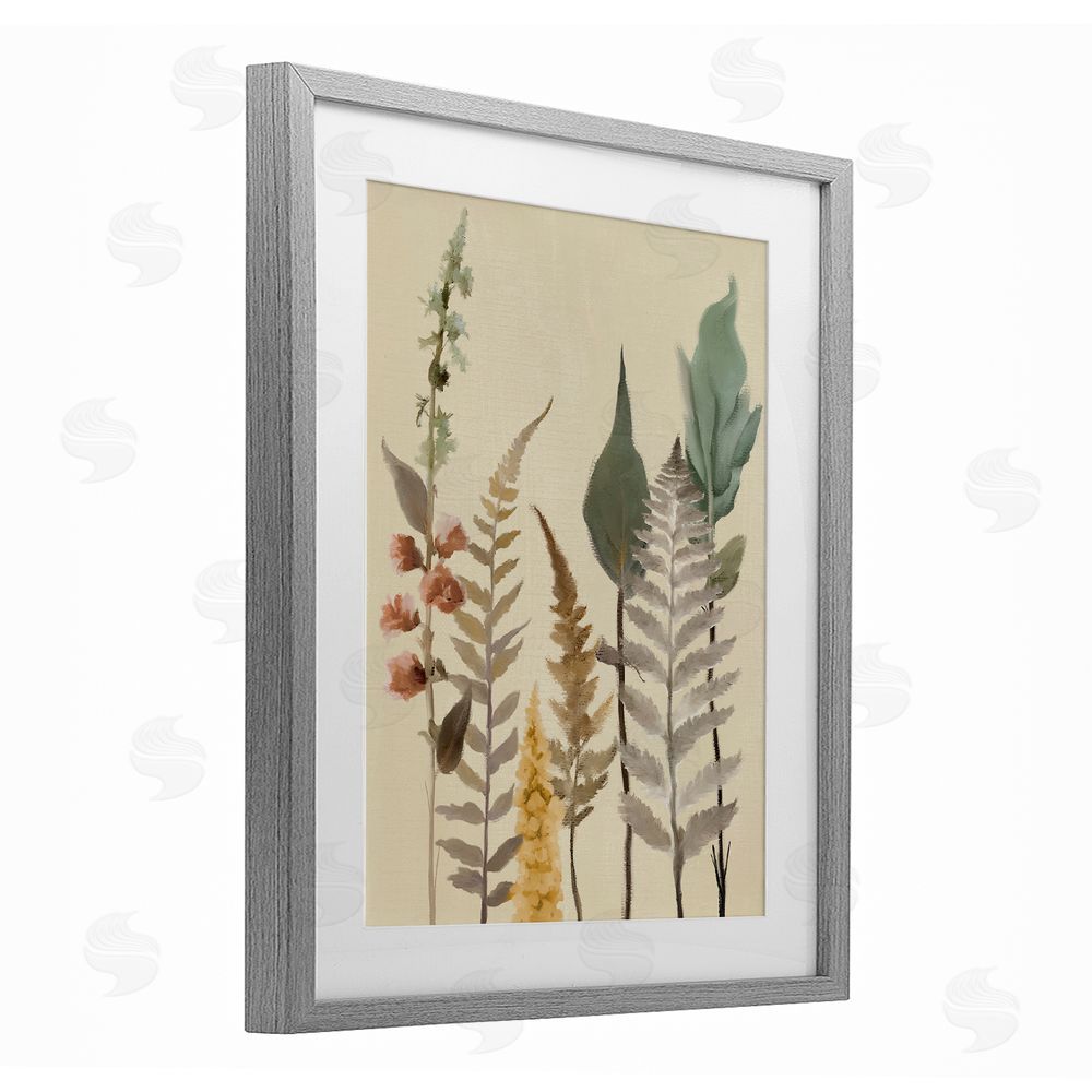 Sundance Graphics Fall Botanicals Forest Ferns Gray Framed Print Under Glass Wall Art