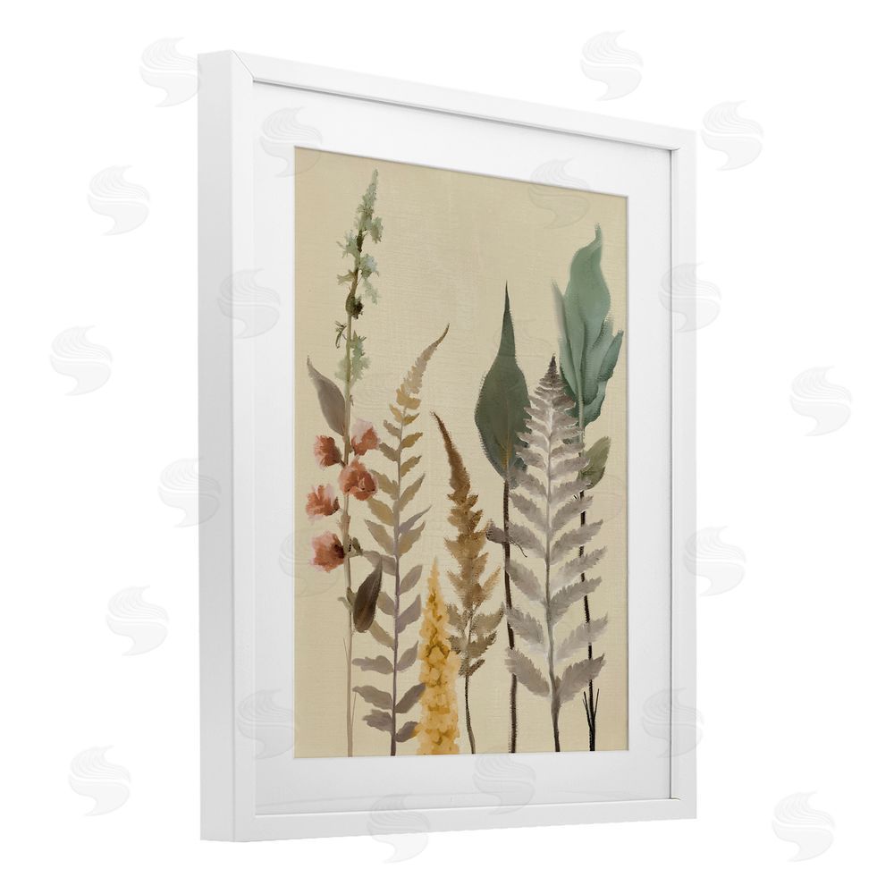 Sundance Graphics Fall Botanicals Forest Ferns White Framed Print Under Glass Wall Art