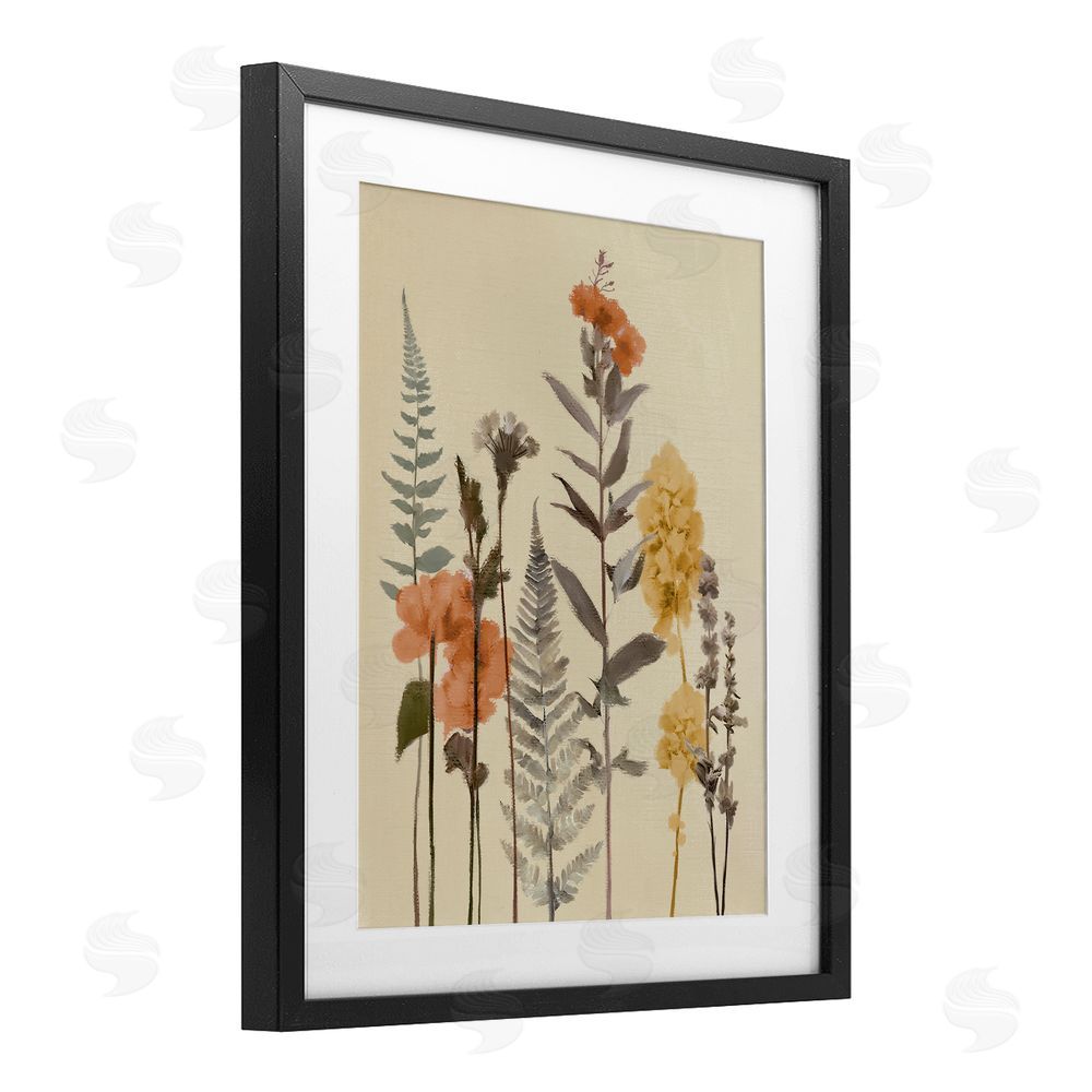 Sundance Graphics Fall Botanicals Fresh Ferns Black Framed Print Under Glass Wall Art