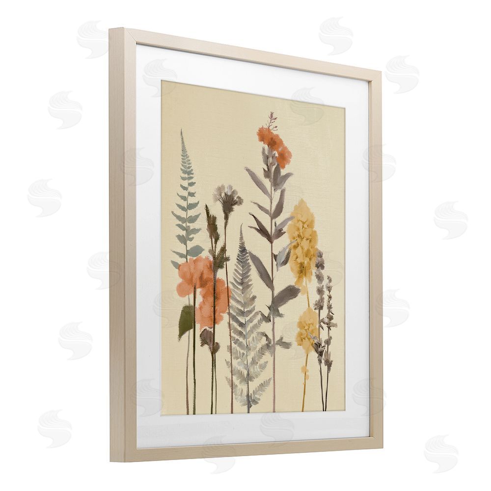 Sundance Graphics Fall Botanicals Fresh Ferns Birch Framed Print Under Glass Wall Art