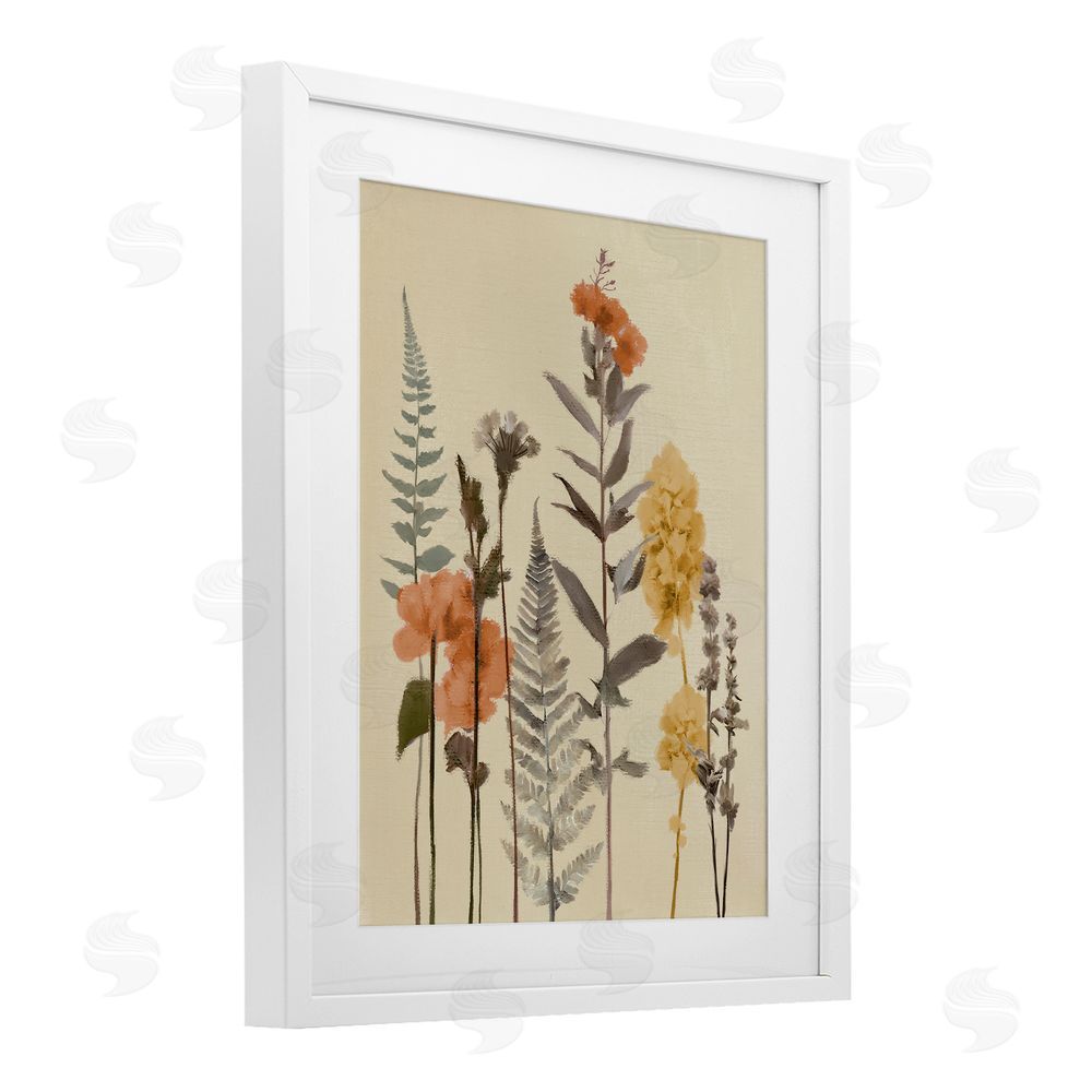 Sundance Graphics Fall Botanicals Fresh Ferns White Framed Print Under Glass Wall Art