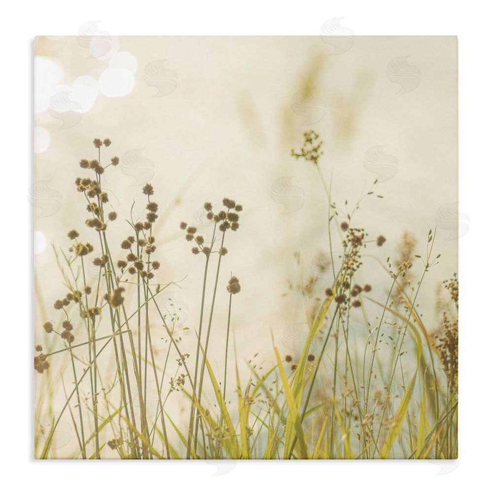 Sundance Graphics Country Afternoon Walk Canvas Wall Art Print