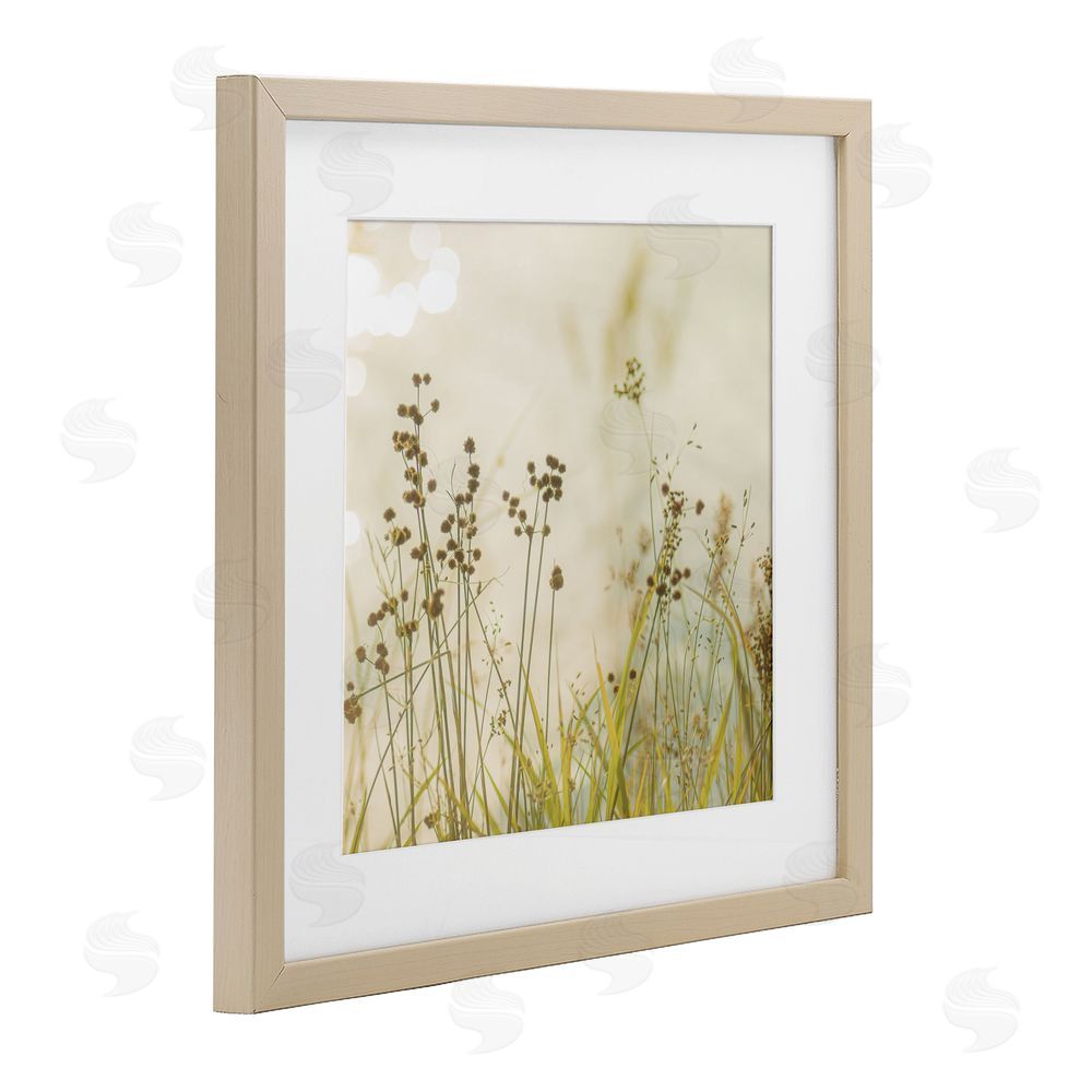 Sundance Graphics Country Afternoon Walk Birch Framed Print Under Glass Wall Art