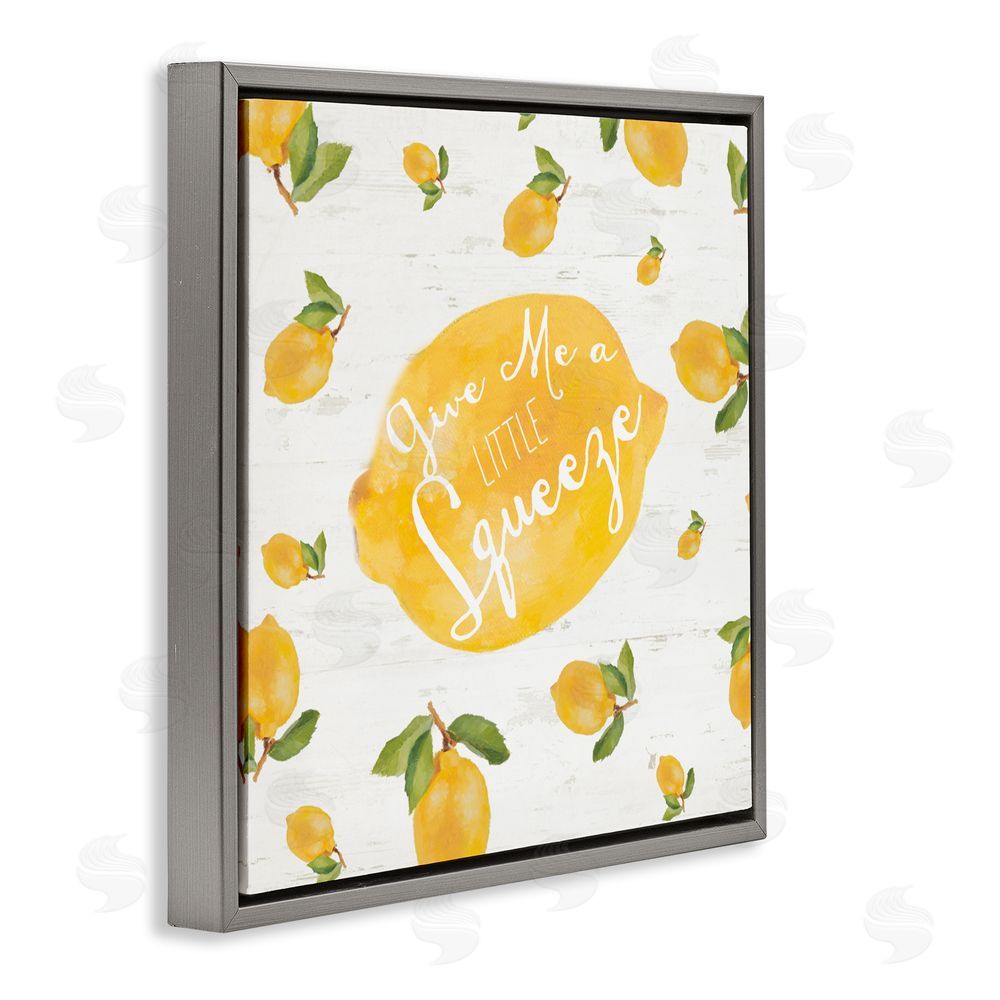 Sundance Graphics Give Me A Squeeze Gray Floating Frame Canvas Wall Art Print