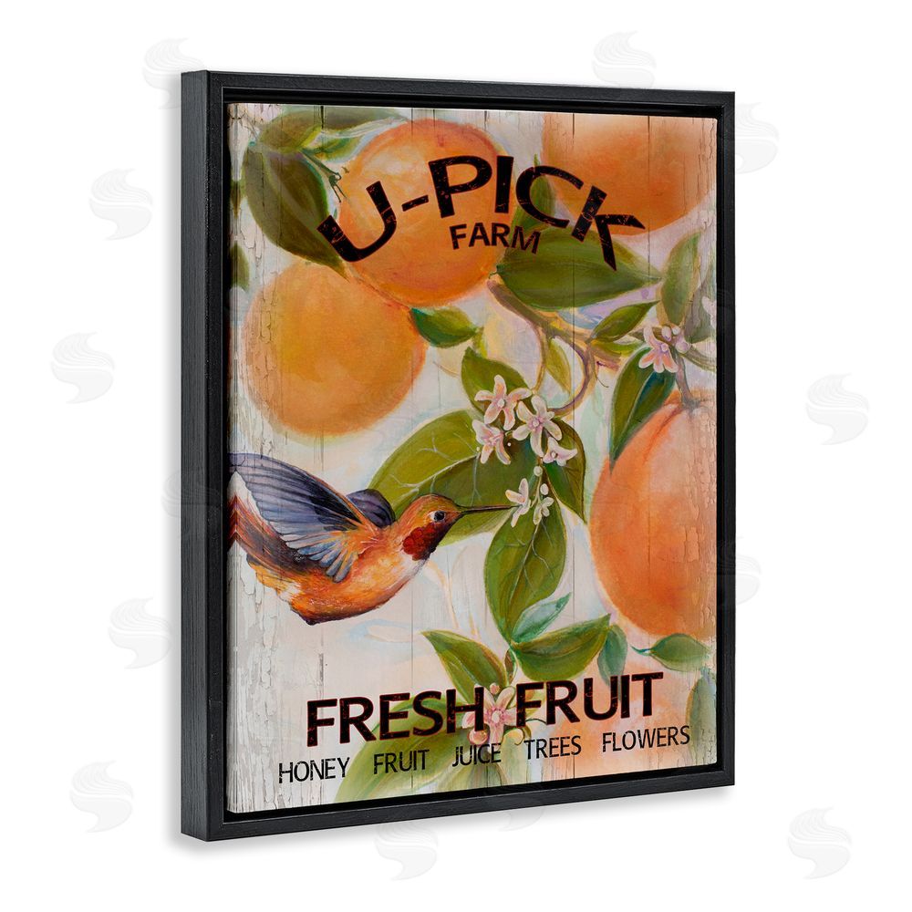Sundance Graphics U-Pick Fresh Fruit Farm Black Floating Frame Canvas Wall Art Print