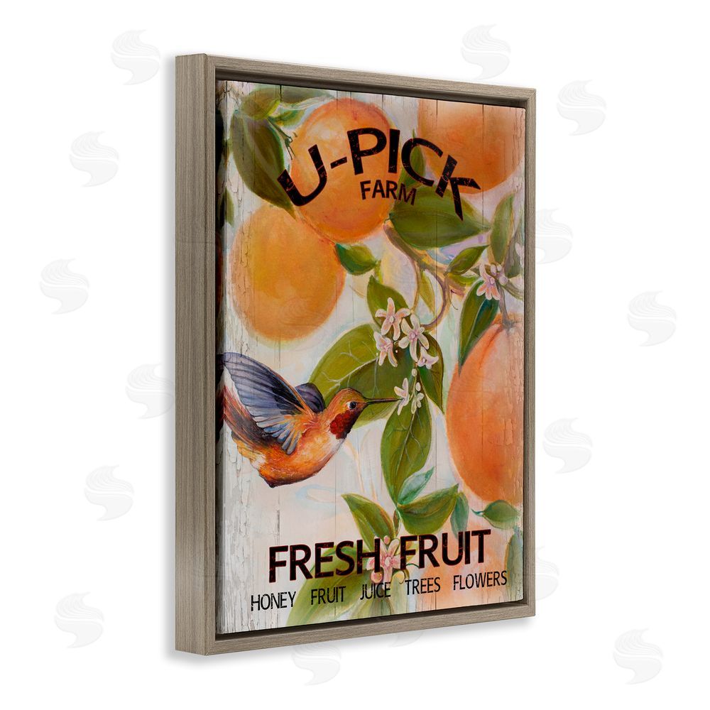 Sundance Graphics U-Pick Fresh Fruit Farm Brown Floating Frame Canvas Wall Art Print