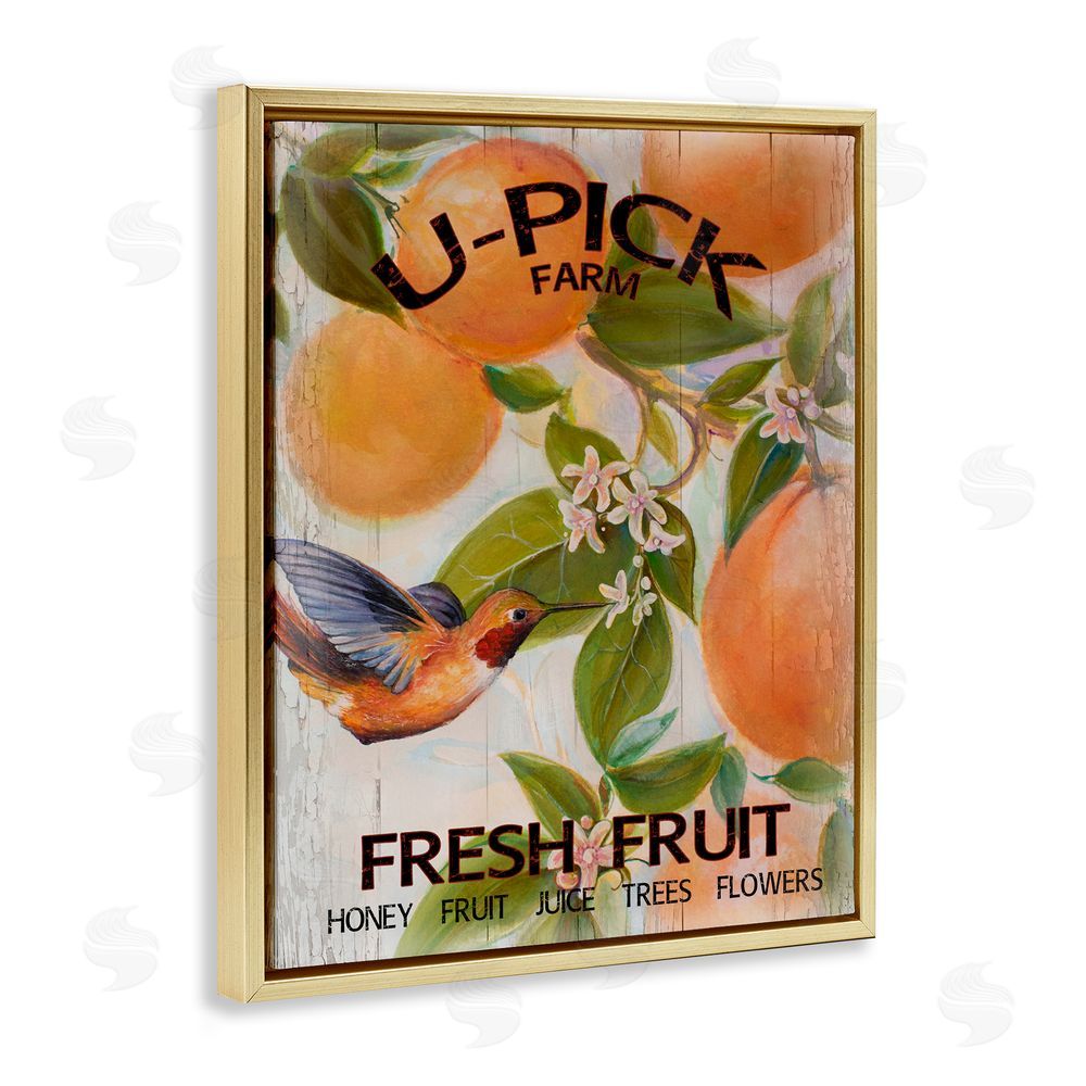 Sundance Graphics U-Pick Fresh Fruit Farm Gold Floating Frame Canvas Wall Art Print