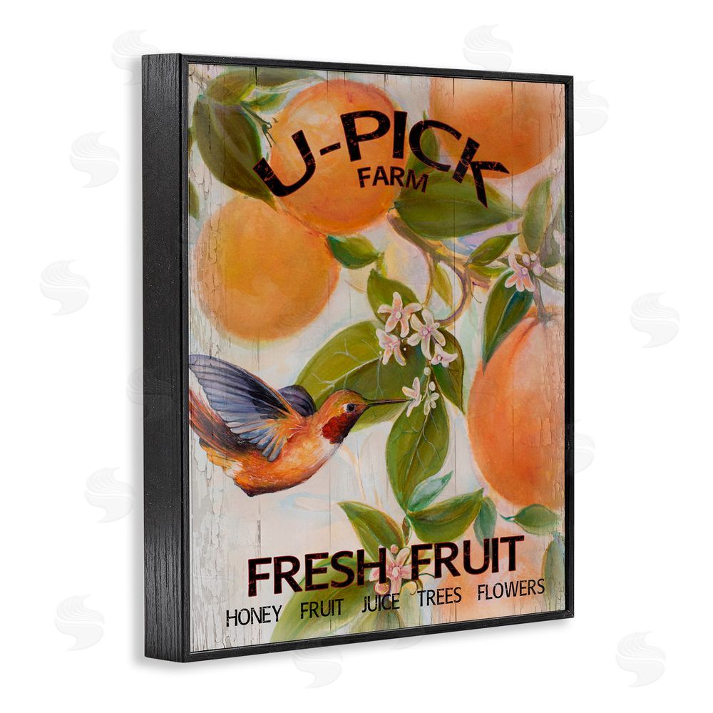 Sundance Graphics U-Pick Fresh Fruit Farm Black Framed Giclee Wall Art Print