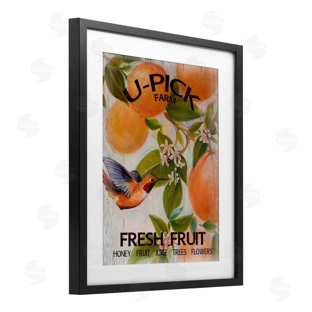 Sundance Graphics U-Pick Fresh Fruit Farm Black Framed Print Under Glass Wall Art