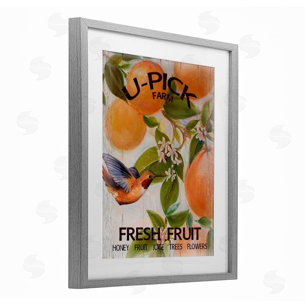 Sundance Graphics U-Pick Fresh Fruit Farm Gray Framed Print Under Glass Wall Art