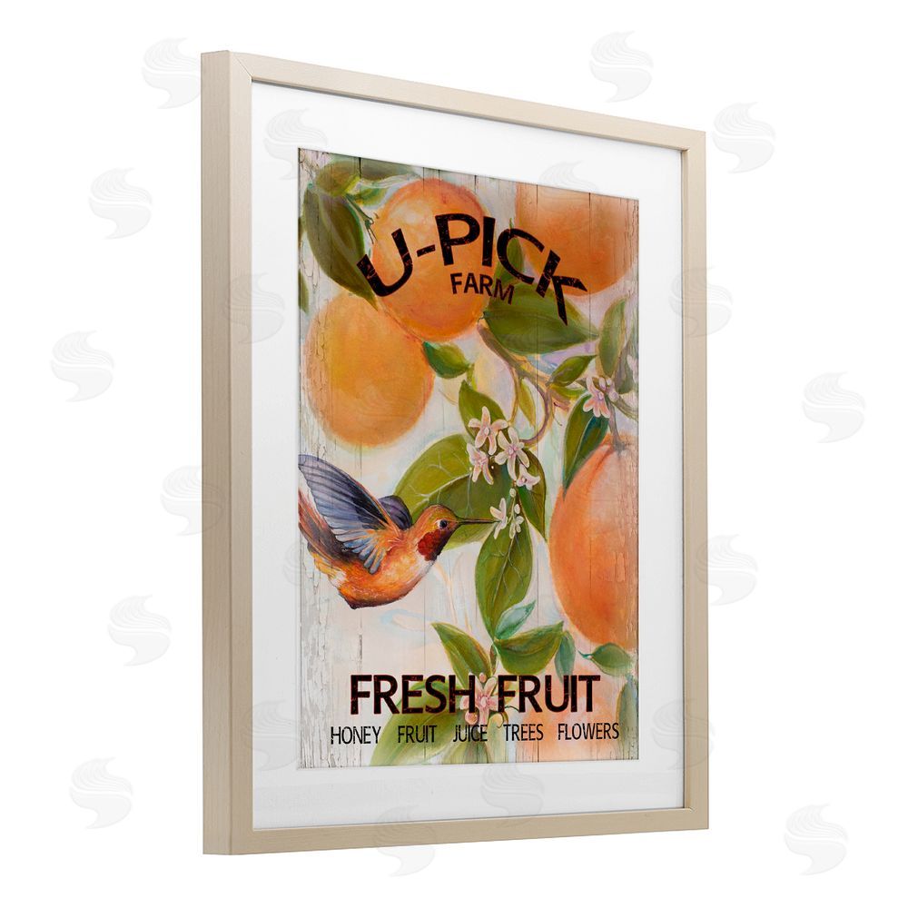 Sundance Graphics U-Pick Fresh Fruit Farm Birch Framed Print Under Glass Wall Art