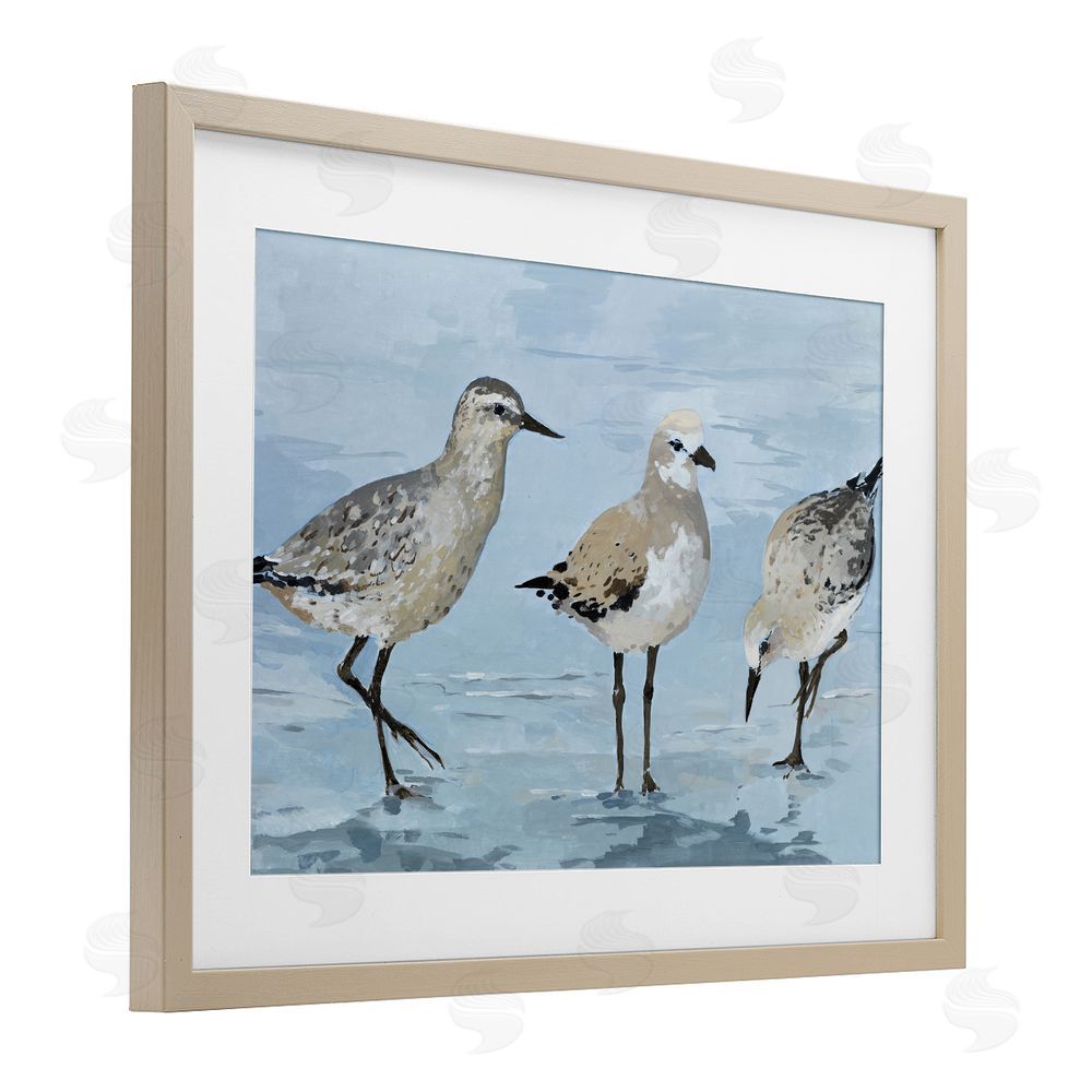 Sundance Graphics Sandpipers Beach Coastal Scene Birch Framed Print Under Glass Wall Art