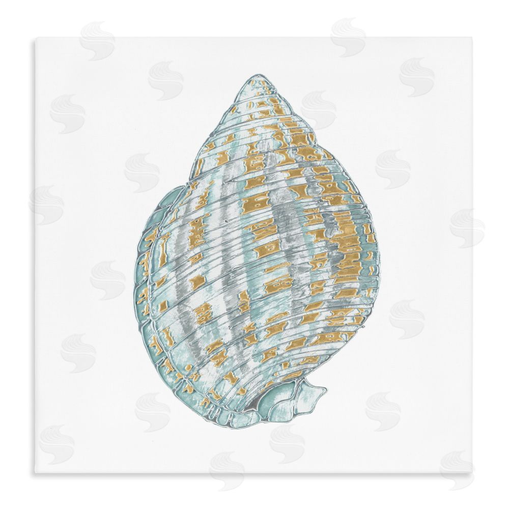 Sundance Graphics Regal Shells Spiral Canvas Wall Art Print