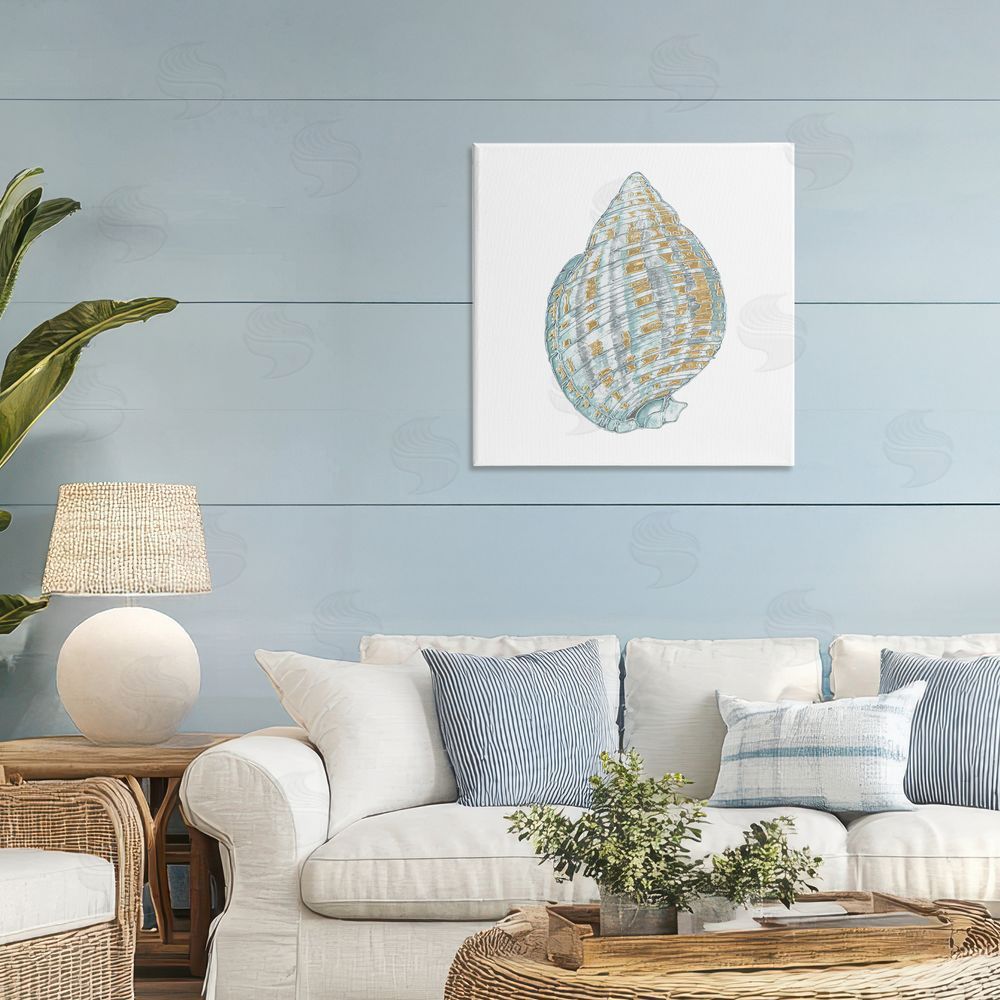 Sundance Graphics Regal Shells Spiral Canvas Wall Art Print in Room