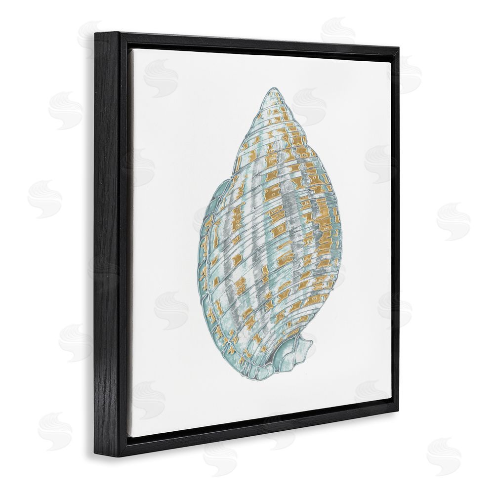 Sundance Graphics Regal Shells Spiral Black Floating Frame Canvas Wall Art Print