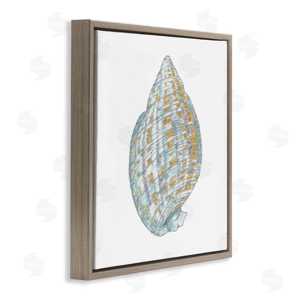 Sundance Graphics Regal Shells Spiral Brown Floating Frame Canvas Wall Art Print