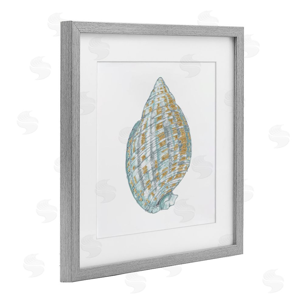 Sundance Graphics Regal Shells Spiral Gray Framed Print Under Glass Wall Art