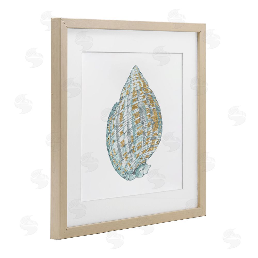 Sundance Graphics Regal Shells Spiral Birch Framed Print Under Glass Wall Art