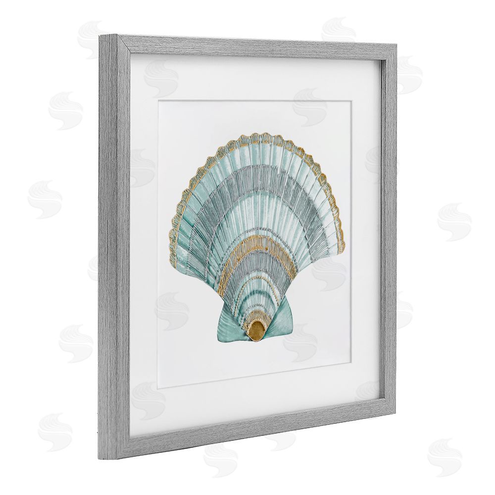 Sundance Graphics Regal Shells Scallop Gray Framed Print Under Glass Wall Art
