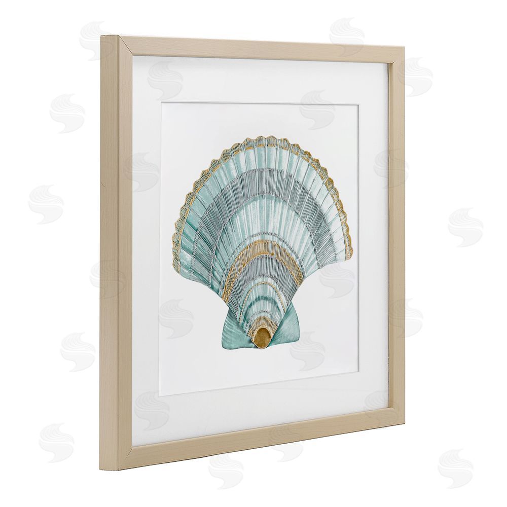 Sundance Graphics Regal Shells Scallop Birch Framed Print Under Glass Wall Art