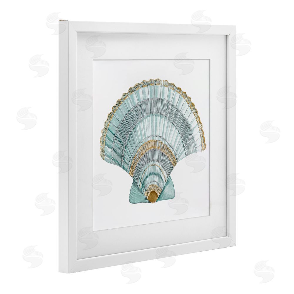 Sundance Graphics Regal Shells Scallop White Framed Print Under Glass Wall Art