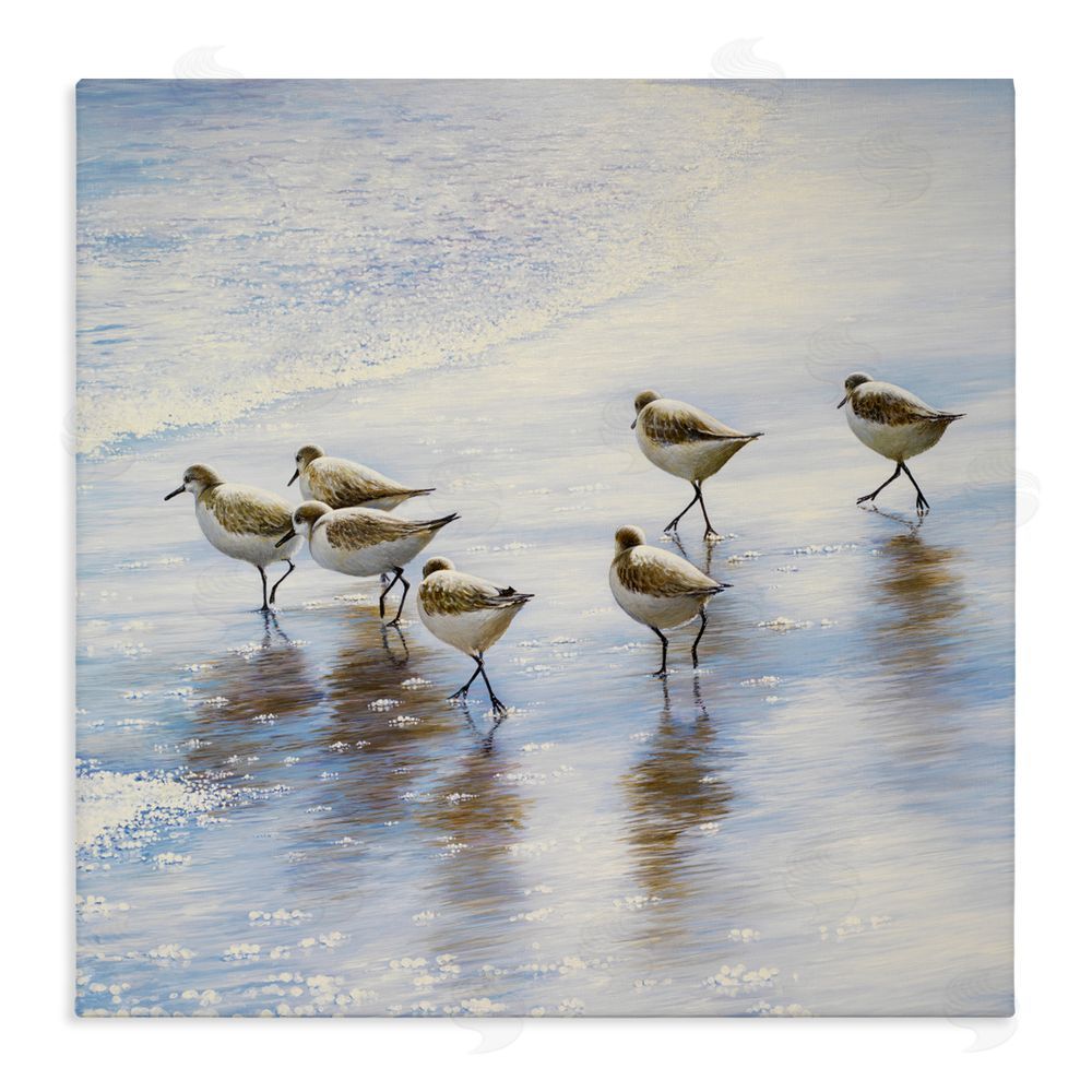 Sundance Graphics Sand Dancers on Shore Canvas Wall Art Print