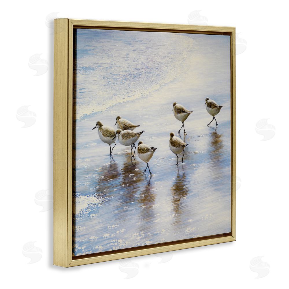 Sundance Graphics Sand Dancers on Shore Gold Floating Frame Canvas Wall Art Print