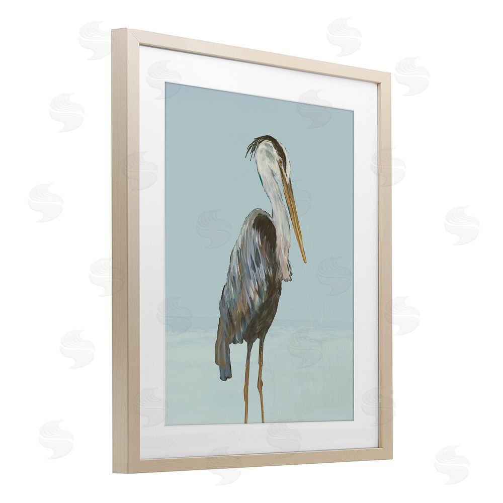 Sundance Graphics Coastal Pelican Muted Blue Birch Framed Print Under Glass Wall Art