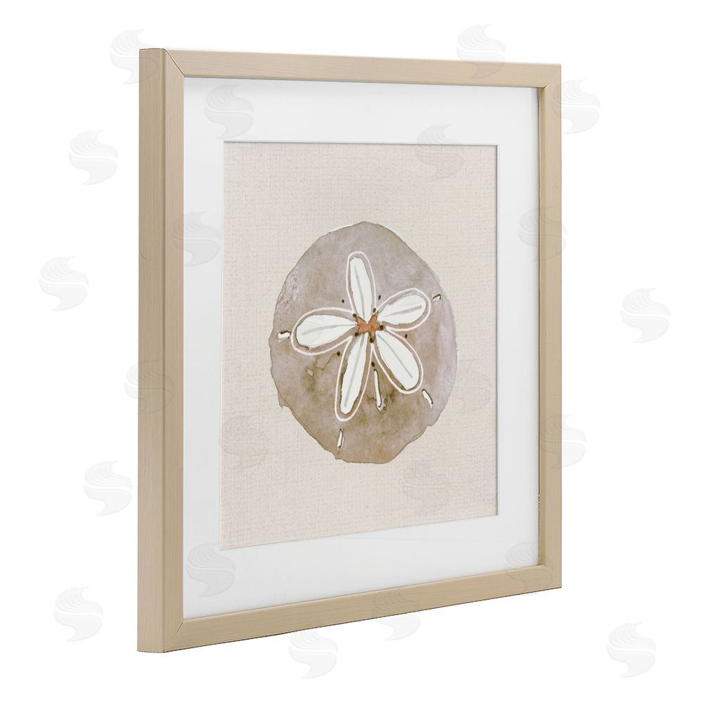 Sundance Graphics Serene Beige Sand Dollar Birch Framed Print Under Glass Wall Art
