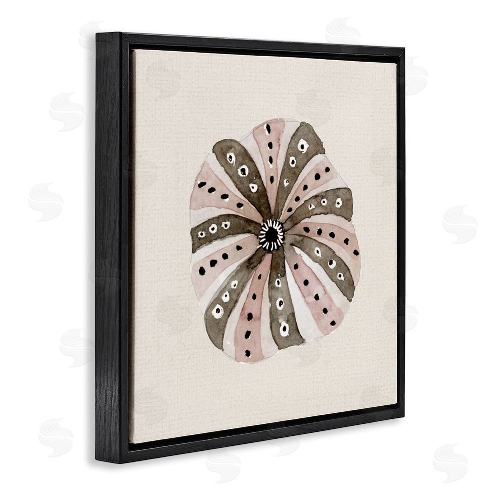 Sundance Graphics Taupe Striped Sea Urchin Black Floating Frame Canvas Wall Art Print