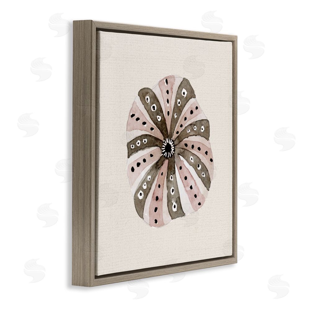 Sundance Graphics Taupe Striped Sea Urchin Brown Floating Frame Canvas Wall Art Print