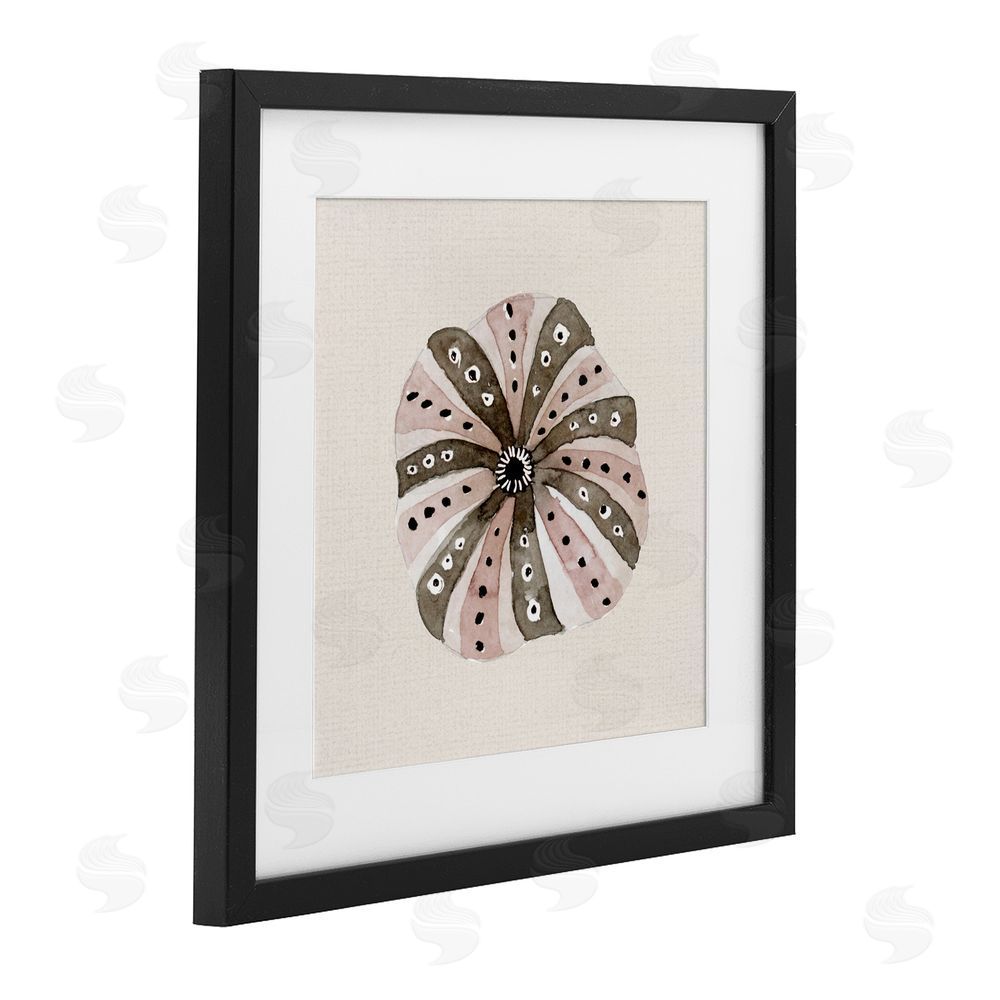 Sundance Graphics Taupe Striped Sea Urchin Black Framed Print Under Glass Wall Art