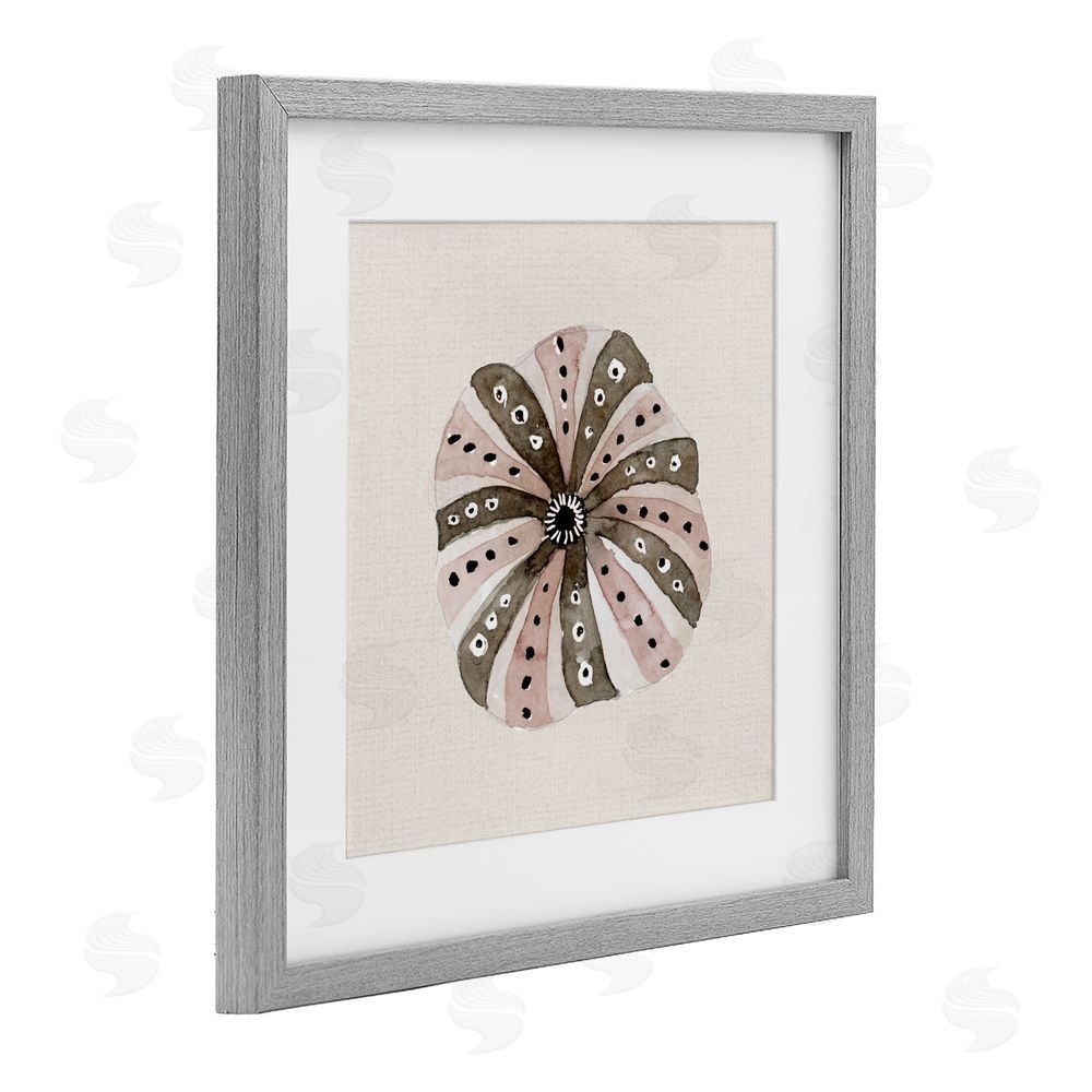 Sundance Graphics Taupe Striped Sea Urchin Gray Framed Print Under Glass Wall Art