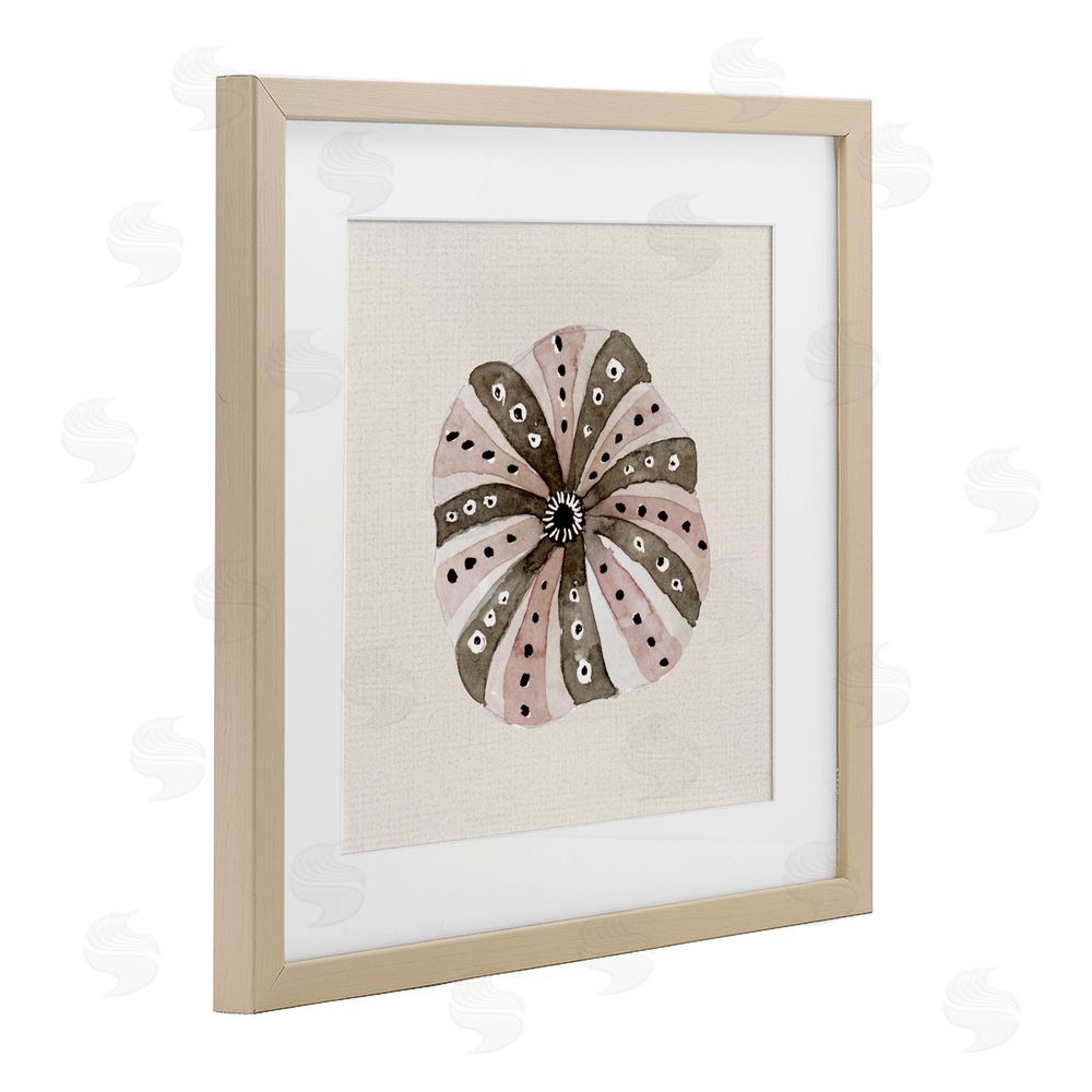 Sundance Graphics Taupe Striped Sea Urchin Birch Framed Print Under Glass Wall Art