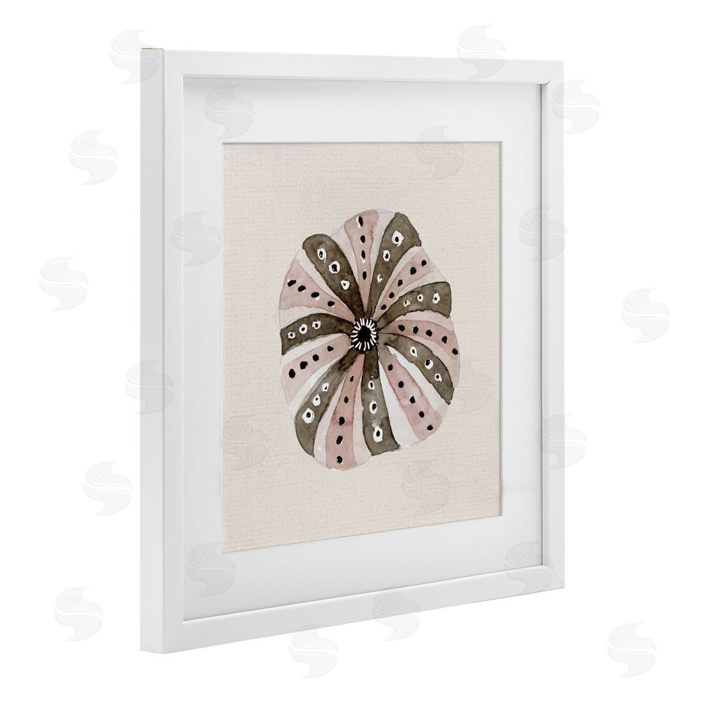 Sundance Graphics Taupe Striped Sea Urchin White Framed Print Under Glass Wall Art