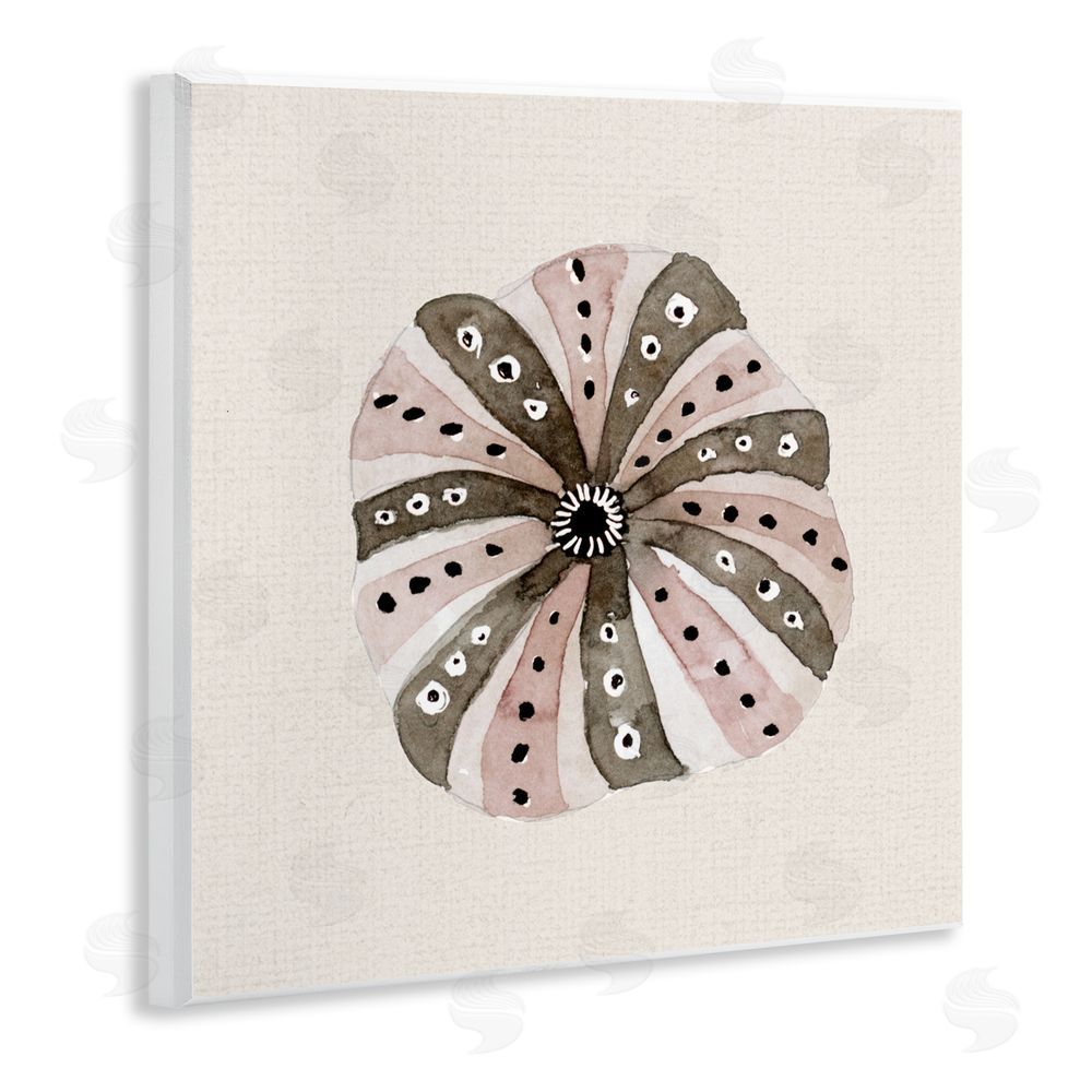 Sundance Graphics Taupe Striped Sea Urchin Wall Plaque Printed Art