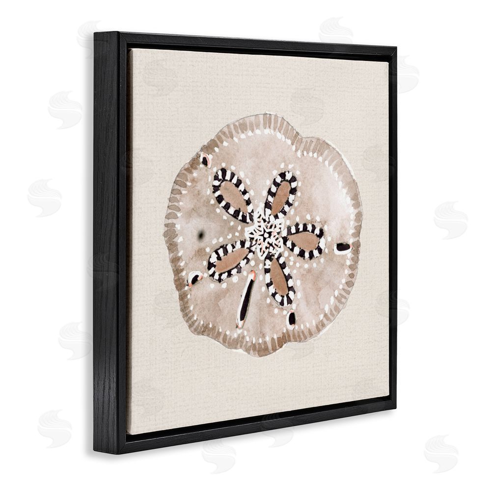 Sundance Graphics Taupe & Beige Sand Dollar Black Floating Frame Canvas Wall Art Print